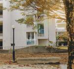 9092601 冬光撫媚 花崗動人(優選).jpg